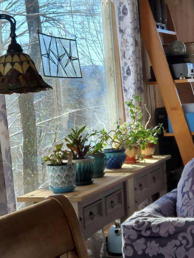Treehouse Cathedral In Blue Ridge Mountains, Nc Villa Burnsville Luaran gambar