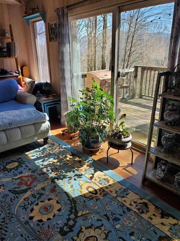 Treehouse Cathedral In Blue Ridge Mountains, Nc Villa Burnsville Luaran gambar